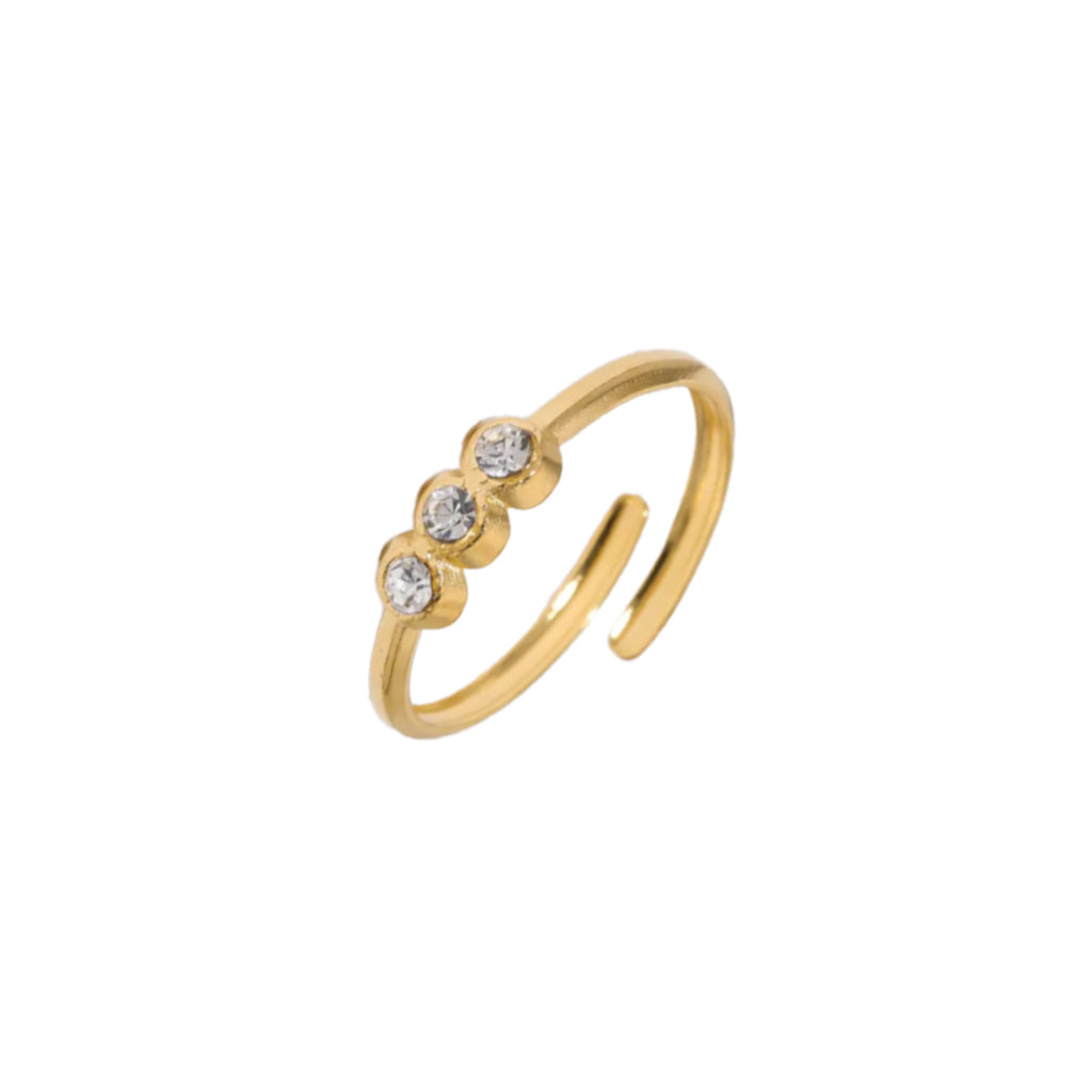 #001 S. Ring