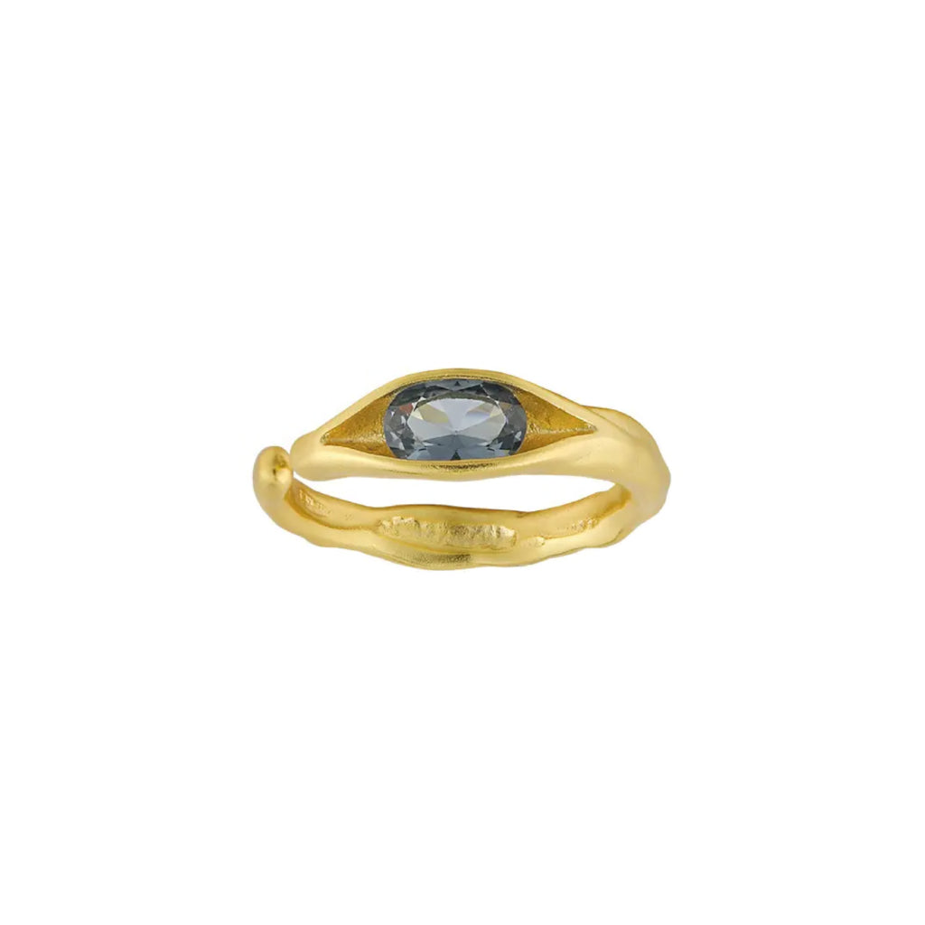 #006 Ring